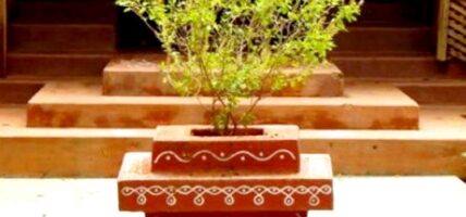 आज निर्जला एकादशी : घर-घरमा तुलसीको दल राखिँदै