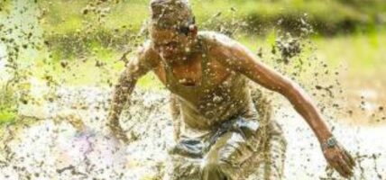 पनौतीमा हिलेजात्रा : जात्रा सकिएपछि रोपाइँ