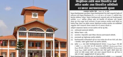 त्रिभुवन विश्वविद्यालयको उपकुलपतिका लागि दरखास्त आह्वान