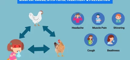 बर्ड फ्लूबाट अर्को महामारी आउन सक्ने चेतावनी