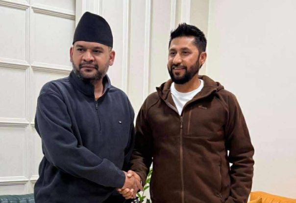 रास्वपाले नागरिक करार,सार्वजनिक गर्‍यो  पाँच वर्षमा गर्ने काम