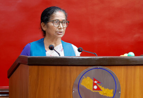 विपद् आएपछि उद्धार होइन, आउनुअघि नै तयारी गर्नुपर्छ : सांसद पन्त