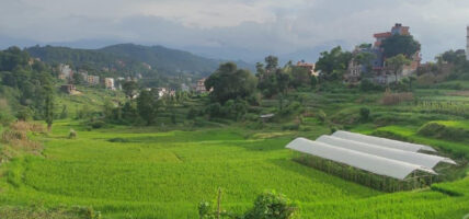 दुई दशकदेखि रोकिएको धुलिखेल जग्गा विकास आयोजना ब्युँतिँदै