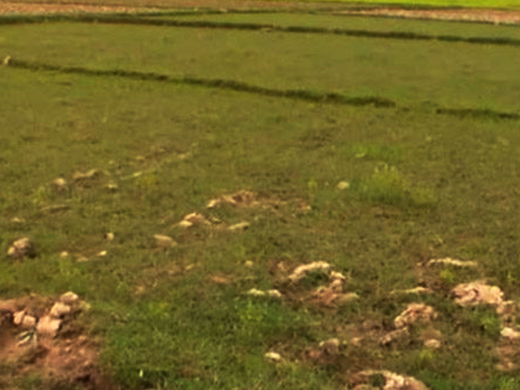 गत आवमा सात खर्ब २० अर्बको घरजग्गाको कारोबार गत आवमा सात खर्ब २० अर्बको घरजग्गाको कारोबार