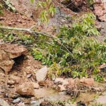 पहिरोले बिपी राजमार्ग अवरुद्ध