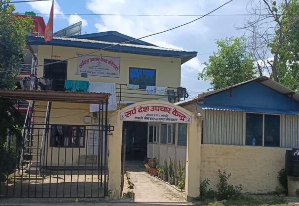 गर्मी र वर्षाले बढ्यो सर्पको बिगबिगी