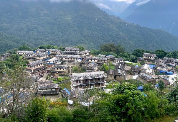 बाटो सहज भएपछि बढे घान्द्रुक जाने पर्यटक