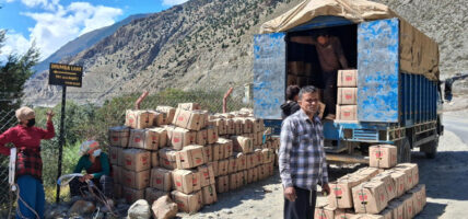 मुस्ताङबाट हालसम्म ३० प्रतिशतमात्र स्याउ निकासी