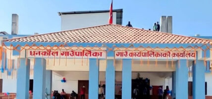 सर्लाहीको धनकौल पालिकामा रोजगारीको अवसर, २१ दिनभित्र दरखास्त दिन मिल्ने सर्लाहीको धनकौल पालिकामा रोजगारीको अवसर, २१ दिनभित्र दरखास्त दिन मिल्ने