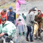 बूढीगण्डकी बाढीमा फसेको कुकुरको २० दिनपछि उद्धार बूढीगण्डकी बाढीमा फसेको कुकुरको २० दिनपछि उद्धार