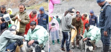 बूढीगण्डकी बाढीमा फसेको कुकुरको २० दिनपछि उद्धार बूढीगण्डकी बाढीमा फसेको कुकुरको २० दिनपछि उद्धार